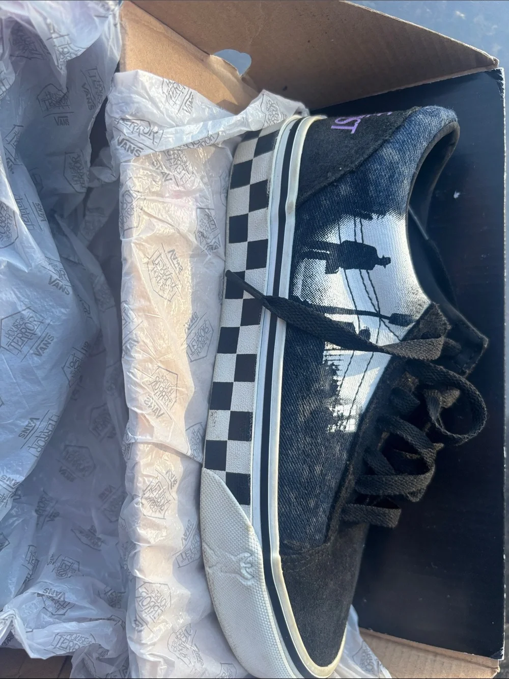 House of terror vans